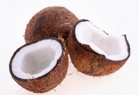 brown--copra--raw--coconuts_36265